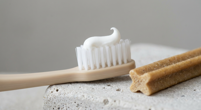 Dental Chews vs Toothpaste: Which Actually Cleans Teeth?